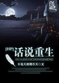 HP��˵����