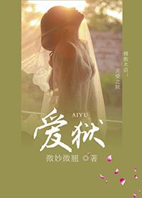 ���������ã�